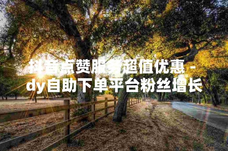 抖音点赞服务超值优惠 - dy自助下单平台粉丝增长