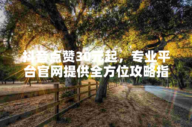 抖音点赞30元起，专业平台官网提供全方位攻略指南。