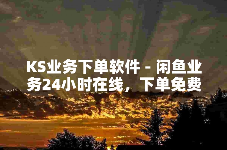 KS业务下单软件 - 闲鱼业务24小时在线，下单免费。