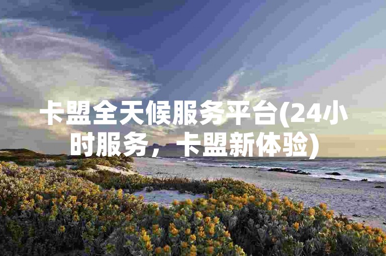 卡盟全天候服务平台(24小时服务，卡盟新体验)