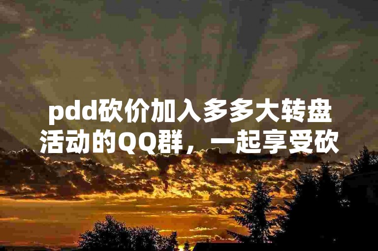 pdd砍价加入多多大转盘活动的QQ群，一起享受砍价的乐趣。