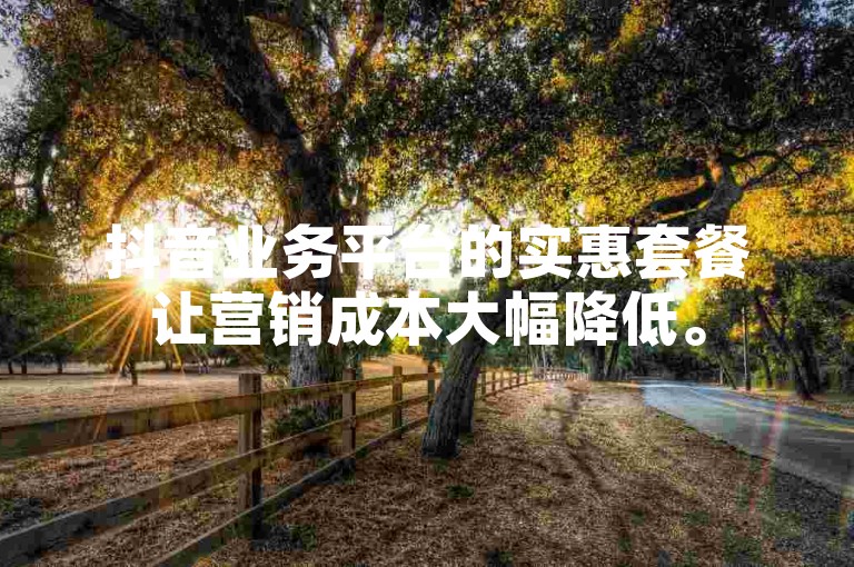 抖音业务平台的实惠套餐让营销成本大幅降低。