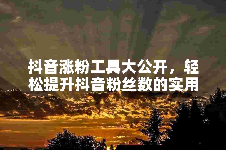 抖音涨粉工具大公开，轻松提升抖音粉丝数的实用软件推荐！2025必备