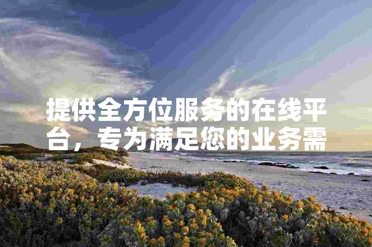 提供全方位服务的在线平台，专为满足您的业务需求而设计，无论是KS还是DY，都能享受到全网最低价的自助下单体验。