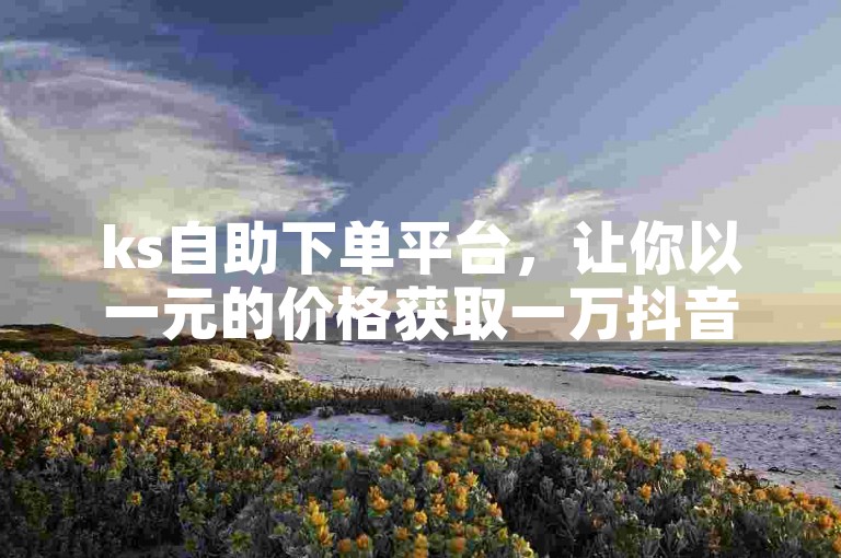 ks自助下单平台，让你以一元的价格获取一万抖音黑粉。