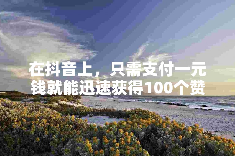 在抖音上，只需支付一元钱就能迅速获得100个赞，这个网站提供了一种快速增加点赞数的方法。