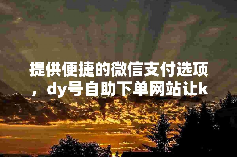 提供便捷的微信支付选项，dy号自助下单网站让ks低价刷业务变得更加简单。