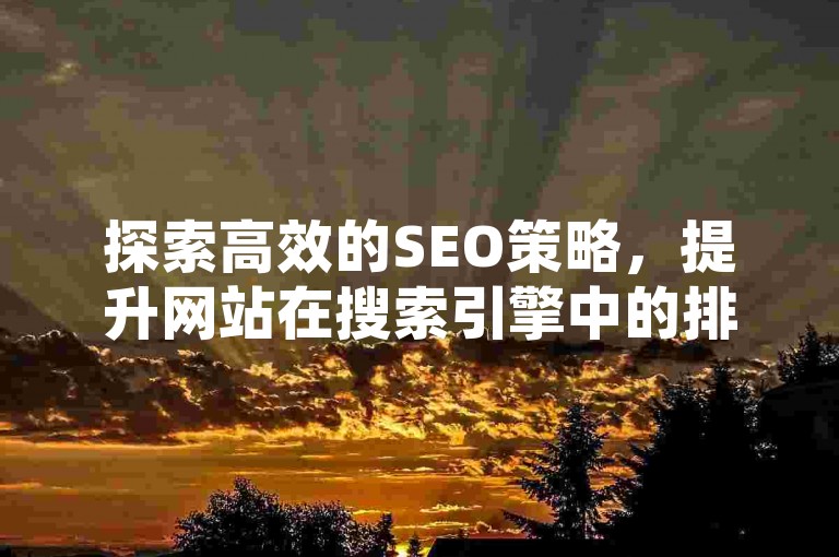 探索高效的SEO策略，提升网站在搜索引擎中的排名，从而吸引更多的访问者。