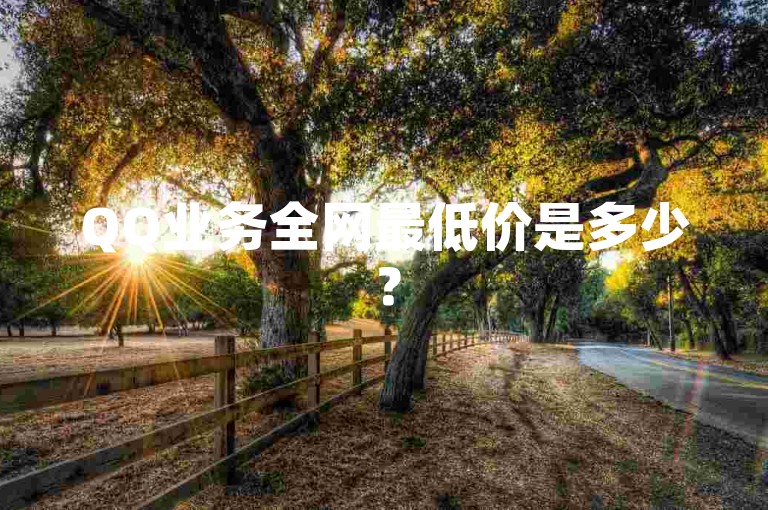 QQ业务全网最低价是多少？