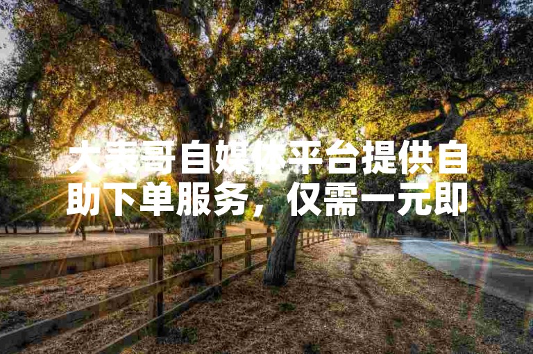 大表哥自媒体平台提供自助下单服务，仅需一元即可获得一千个点赞。