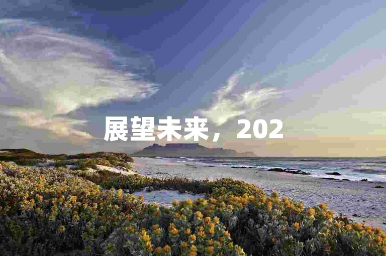 展望未来，2025年拼多多砍一刀究竟需要多少人助力方能达成目标？