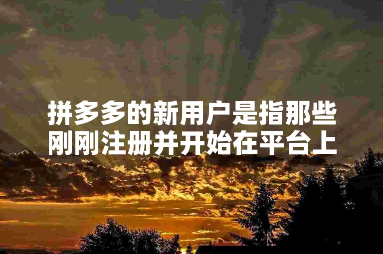 拼多多的新用户是指那些刚刚注册并开始在平台上进行购物的消费者。