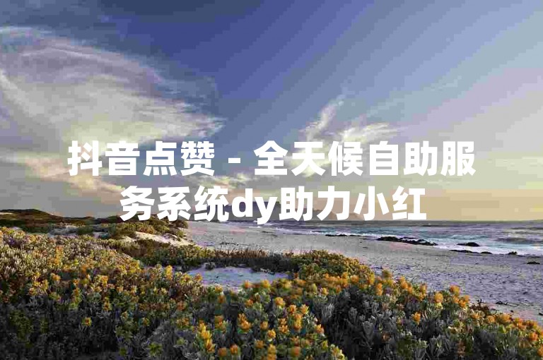 抖音点赞 - 全天候自助服务系统dy助力小红