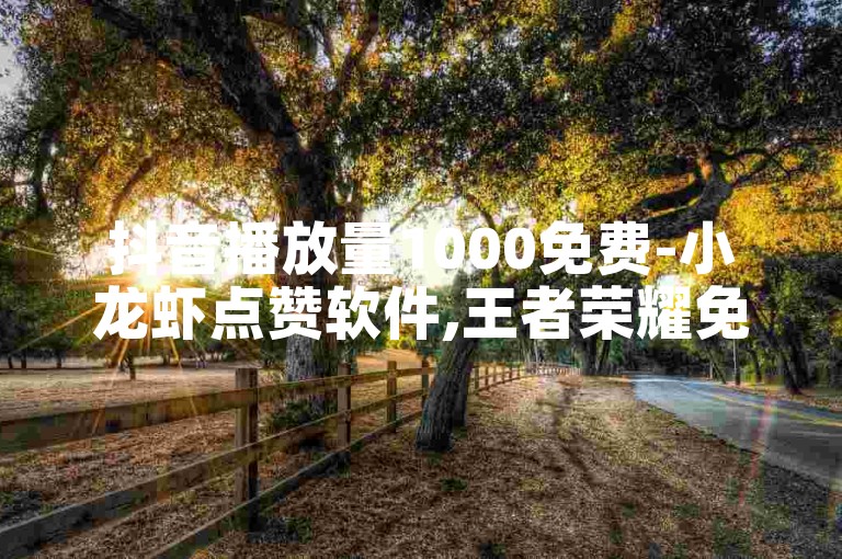 抖音播放量1000免费-小龙虾点赞软件,王者荣耀免费刷点赞软件下载。