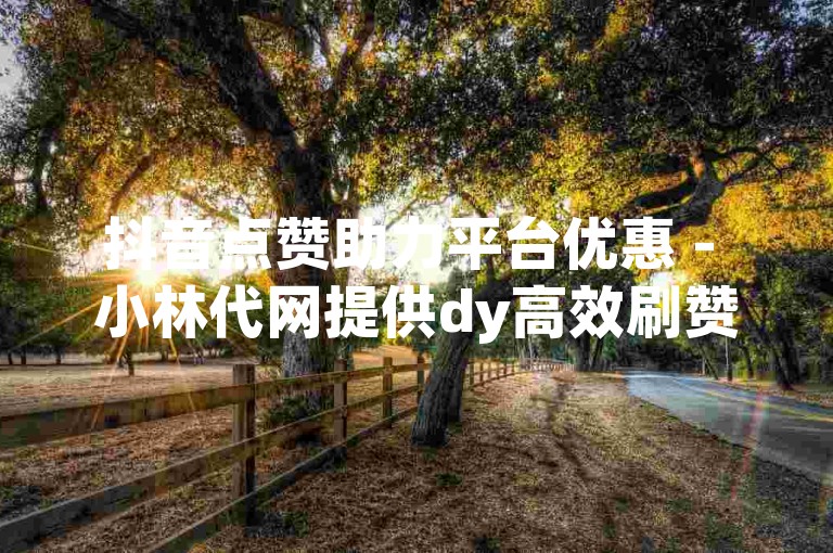 抖音点赞助力平台优惠 - 小林代网提供dy高效刷赞服务网站