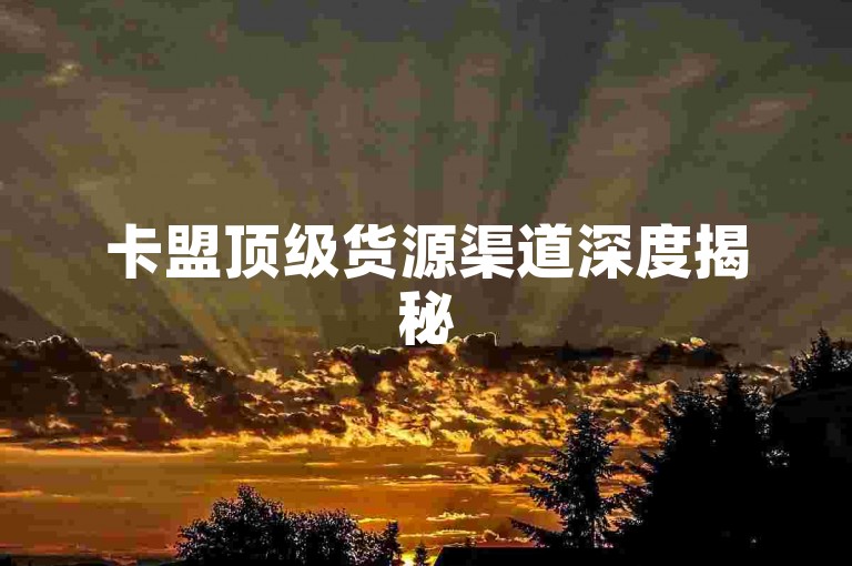 卡盟顶级货源渠道深度揭秘