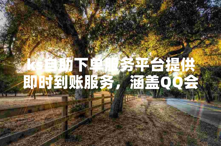 ks自助下单服务平台提供即时到账服务，涵盖QQ会员、小红书及抖音业务在线自助下单。