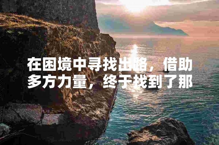 在困境中寻找出路，借助多方力量，终于找到了那最后的百分之一解决方案。