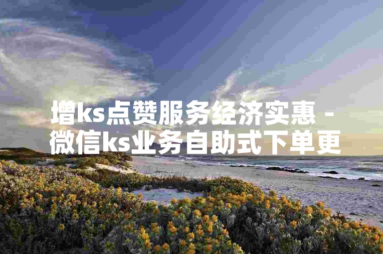 增ks点赞服务经济实惠 - 微信ks业务自助式下单更优惠