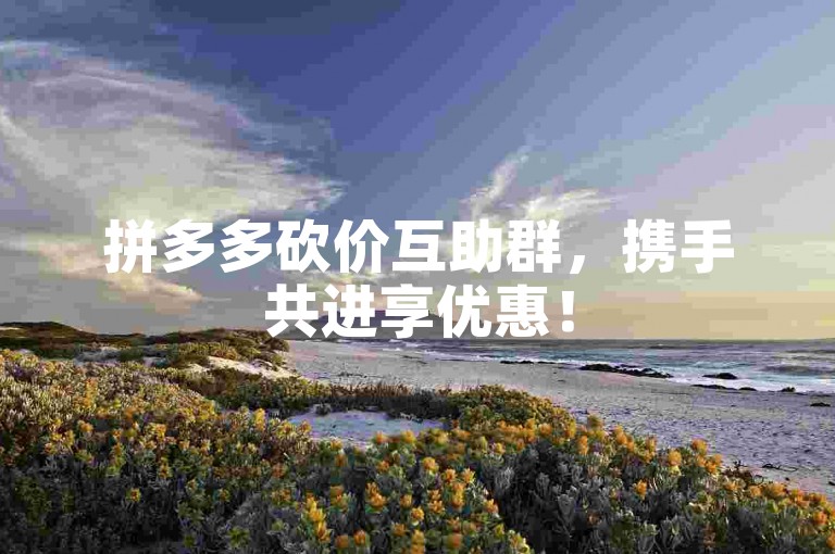 拼多多砍价互助群，携手共进享优惠！