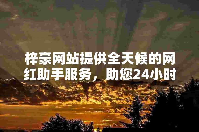 梓豪网站提供全天候的网红助手服务，助您24小时轻松下单。