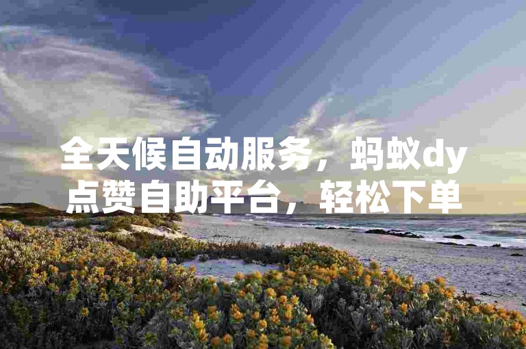 全天候自动服务，蚂蚁dy点赞自助平台，轻松下单。