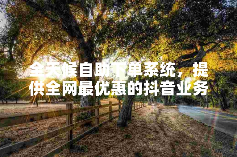 全天候自助下单系统，提供全网最优惠的抖音业务服务网站。