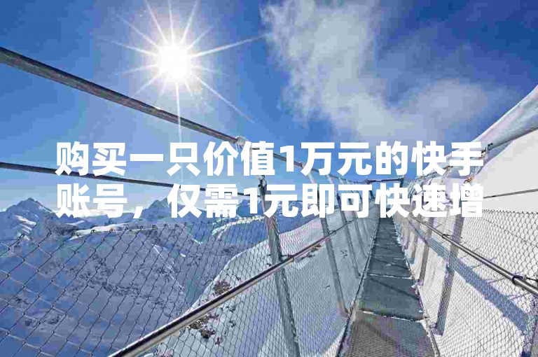 购买一只价值1万元的快手账号，仅需1元即可快速增加1000名粉丝。