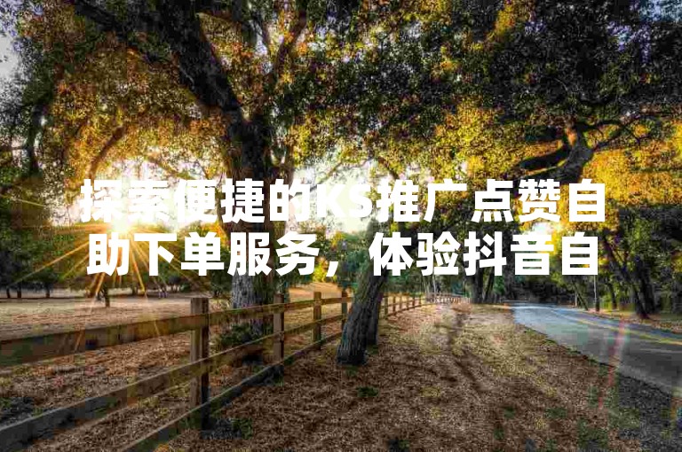探索便捷的KS推广点赞自助下单服务，体验抖音自助下单平台的在线便利。