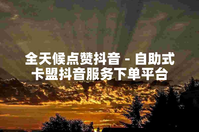 全天候点赞抖音 - 自助式卡盟抖音服务下单平台