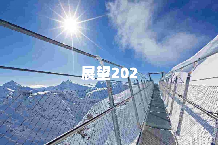 展望2025年，拼多多店铺在电商领域的发展前景与面临的竞争压力。