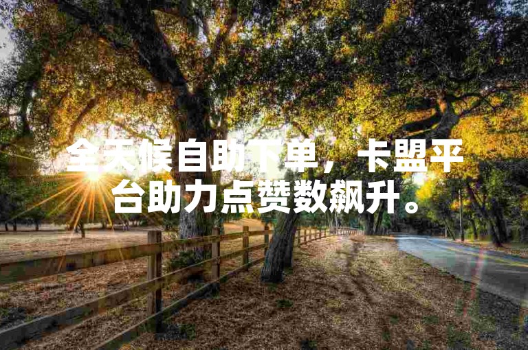 全天候自助下单，卡盟平台助力点赞数飙升。