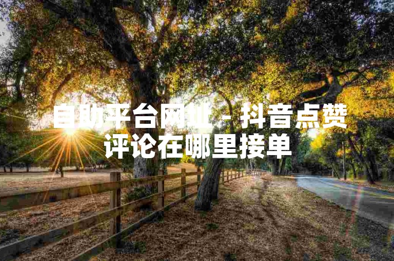 自助平台网址 - 抖音点赞评论在哪里接单