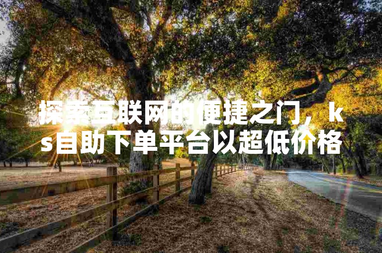 探索互联网的便捷之门，ks自助下单平台以超低价格助力您的抖音账号飞速增长，无需花费一分钱。