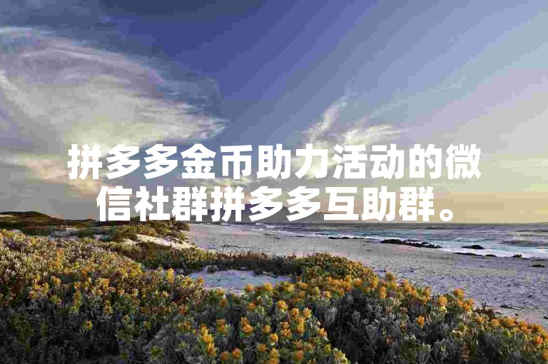 拼多多金币助力活动的微信社群拼多多互助群。