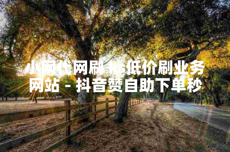 小网代网刷 ks低价刷业务网站 - 抖音赞自助下单秒