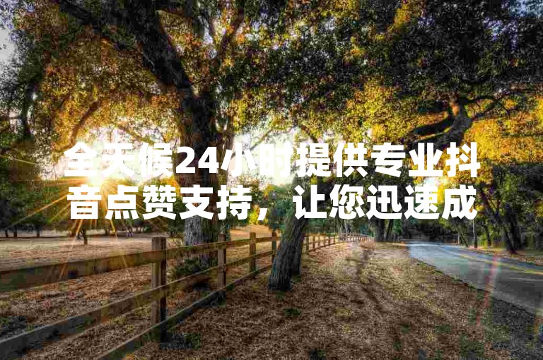 全天候24小时提供专业抖音点赞支持，让您迅速成为热门！