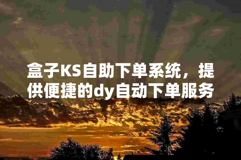 盒子KS自助下单系统，提供便捷的dy自动下单服务。