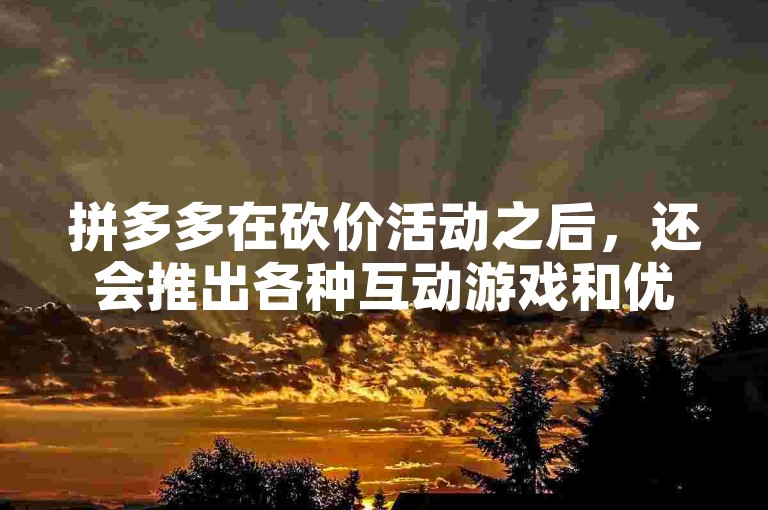 拼多多在砍价活动之后，还会推出各种互动游戏和优惠活动来吸引用户参与。
