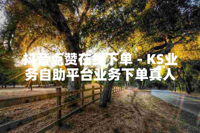 抖音点赞在线下单 - KS业务自助平台业务下单真人