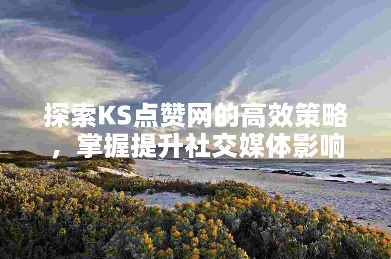 探索KS点赞网的高效策略，掌握提升社交媒体影响力的秘诀，2024年必备技巧！