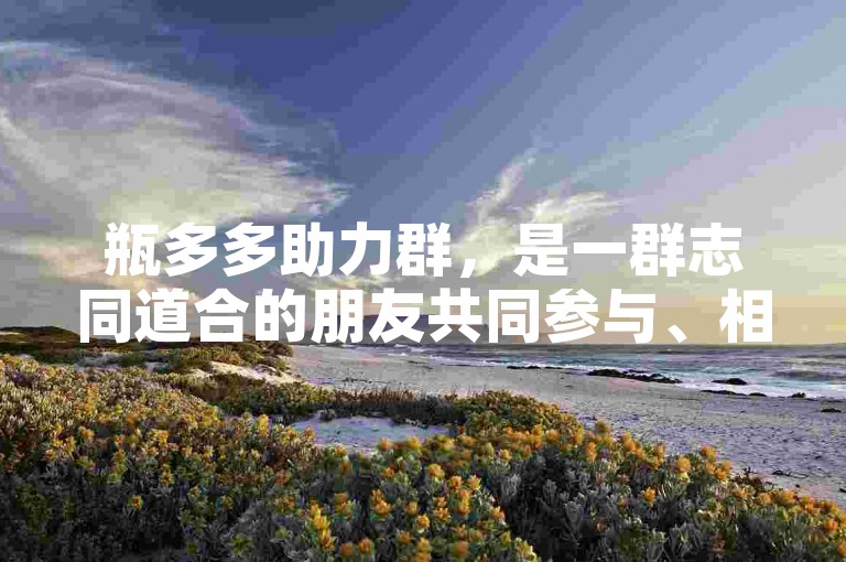 瓶多多助力群，是一群志同道合的朋友共同参与、相互支持的社群。