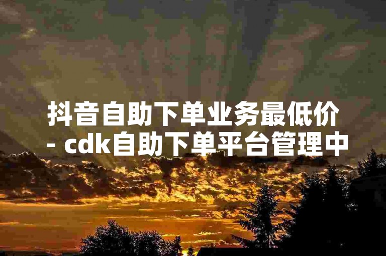 抖音自助下单业务最低价 - cdk自助下单平台管理中心，提供便捷的一站式服务体验。