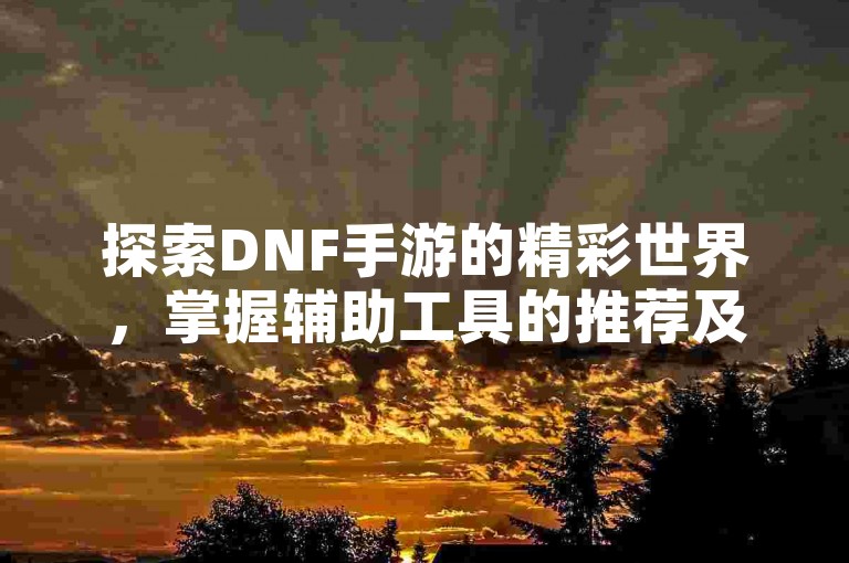 探索DNF手游的精彩世界，掌握辅助工具的推荐及高效使用技巧。