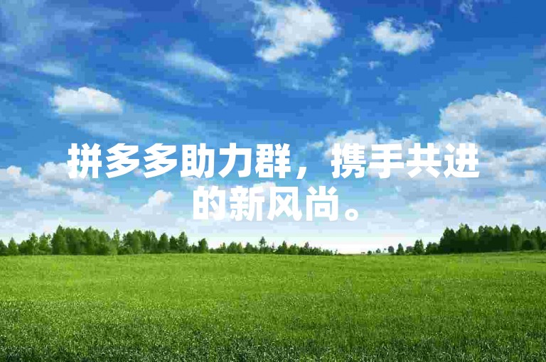 拼多多助力群，携手共进的新风尚。
