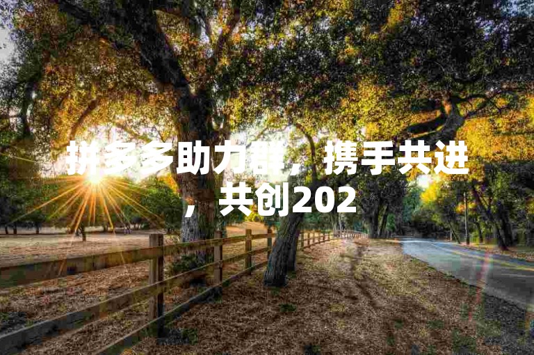 拼多多助力群，携手共进，共创2025辉煌新纪元。