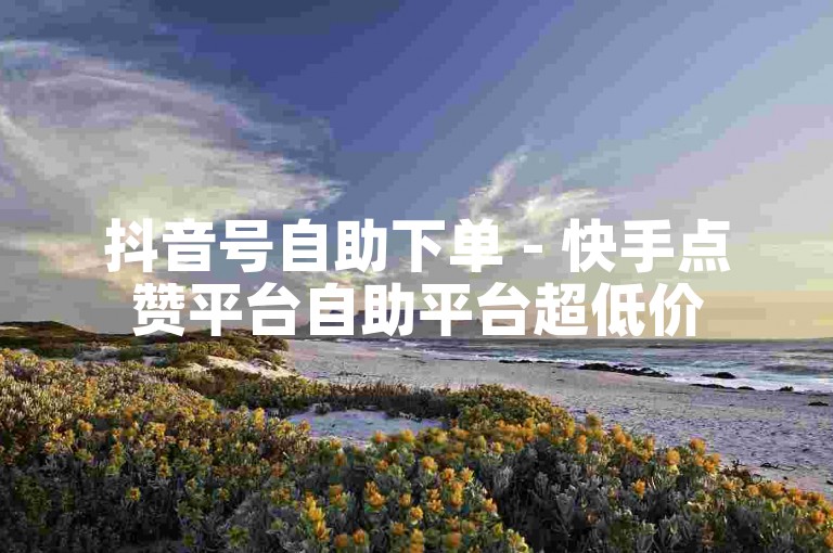 抖音号自助下单 - 快手点赞平台自助平台超低价