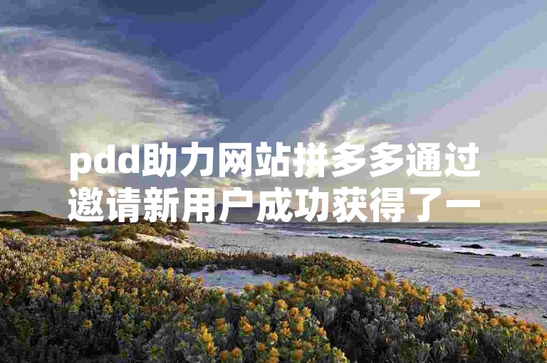 pdd助力网站拼多多通过邀请新用户成功获得了一次有效的助力。