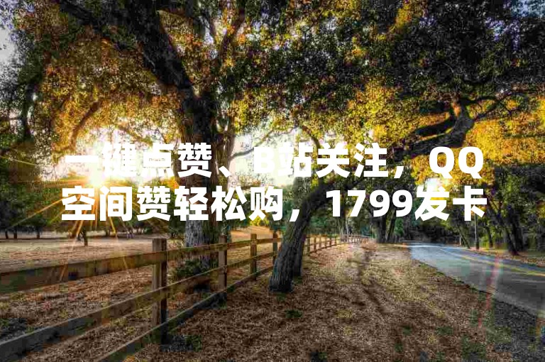 一键点赞、B站关注，QQ空间赞轻松购，1799发卡网，优惠不断。