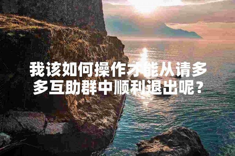 我该如何操作才能从请多多互助群中顺利退出呢？